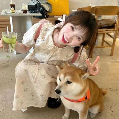 梦破红尘